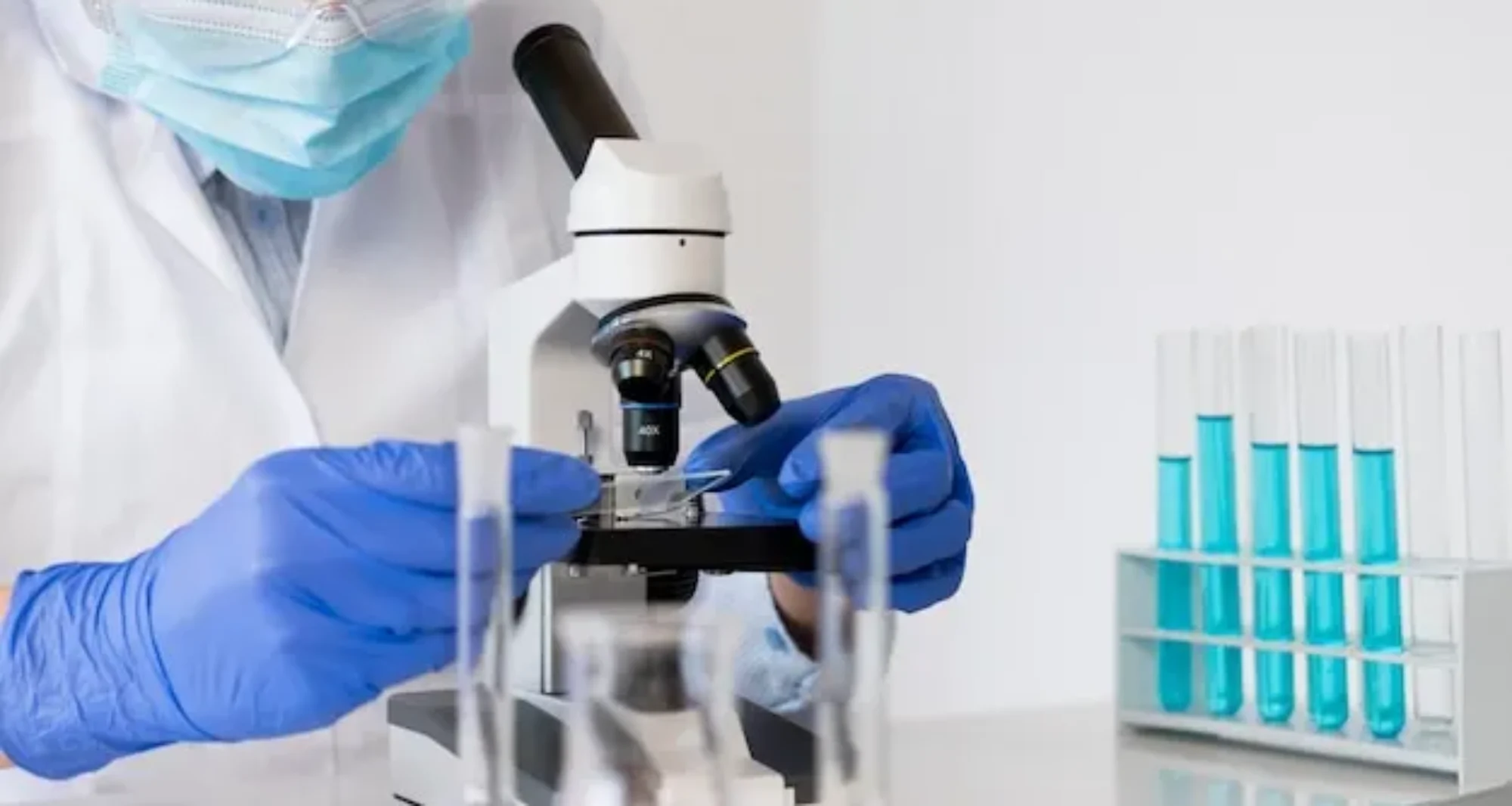 Tests in vitro de l’activité antifongique des extraits aqueux et de l’huile essentielle d’origan et Salvia